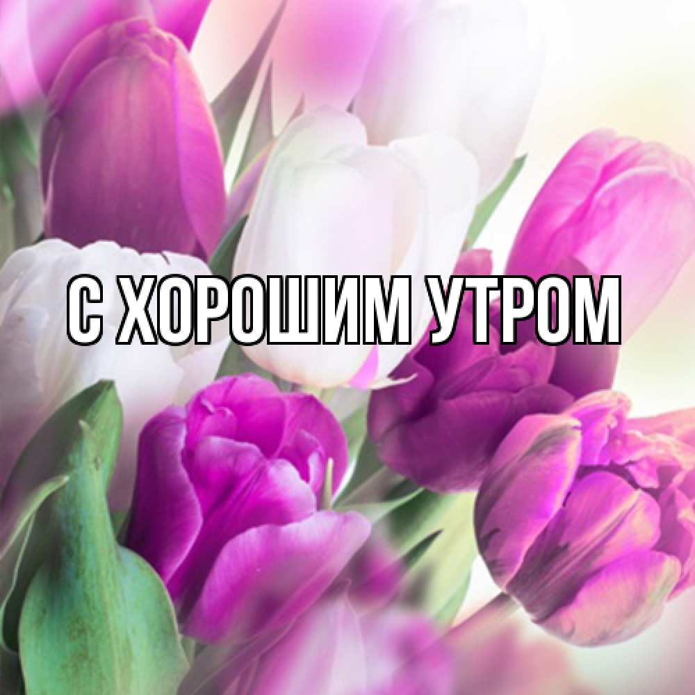 Открытка на каждый день с именем, Иван Люблю тебя весна 1 Прикольная открытка с пожеланием онлайн скачать бесплатно 