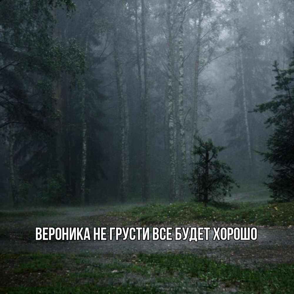 Открытка на каждый день с именем, Вероника Не грусти все будет хорошо осень Прикольная открытка с пожеланием онлайн скачать бесплатно 