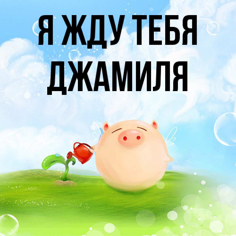 Открытка на каждый день с именем, Джамиля Я жду тебя позитивная свинюшка Прикольная открытка с пожеланием онлайн скачать бесплатно 