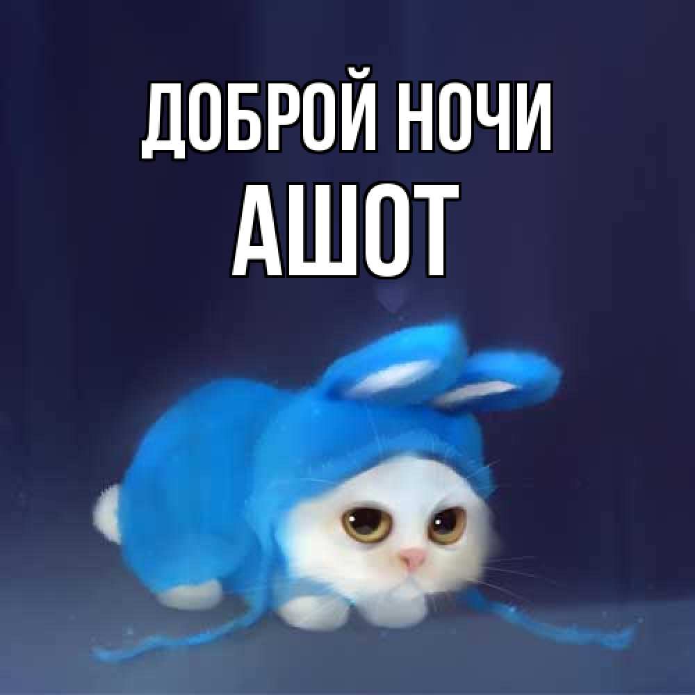 Открытка на каждый день с именем, Ашот Доброй ночи кот в голубом костюме кролика с ушками Прикольная открытка с пожеланием онлайн скачать бесплатно 