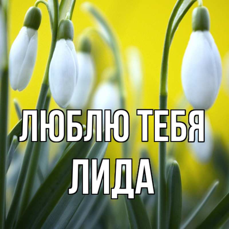 Картинка Люблю тебя, Лида