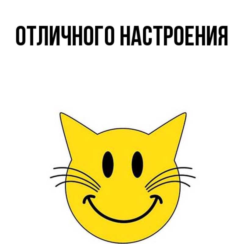 Картинка Большое спасибо, Толя