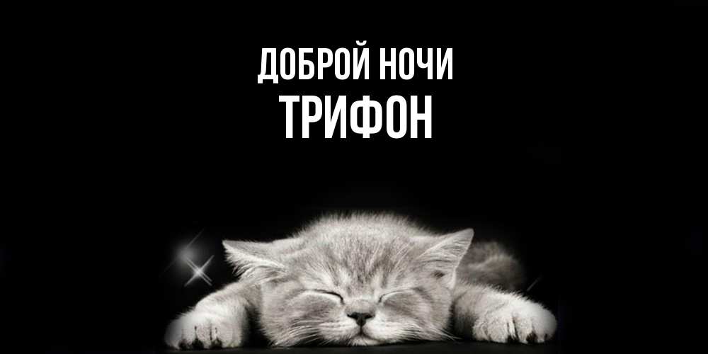 Открытка на каждый день с именем, Трифон Доброй ночи спящий котик Прикольная открытка с пожеланием онлайн скачать бесплатно 