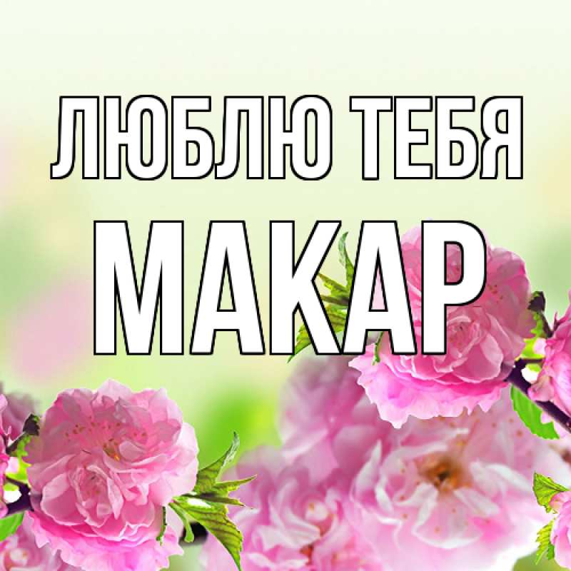 Открытка с именем, Макар, Люблю тебя