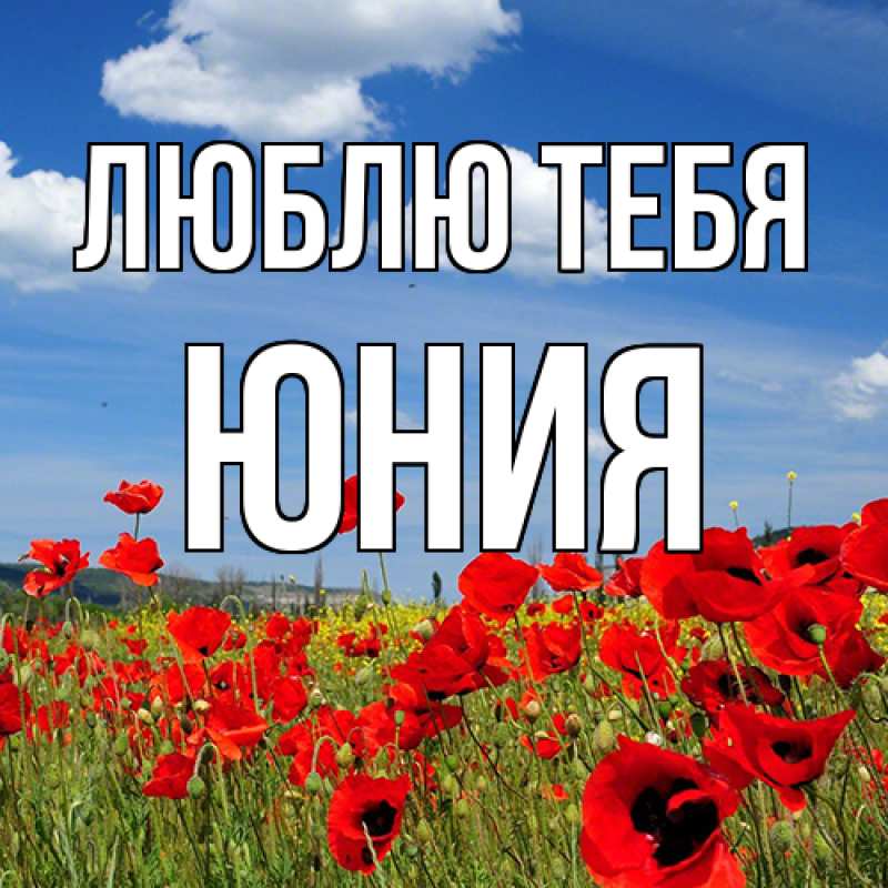 Картинка Люблю тебя, Юния