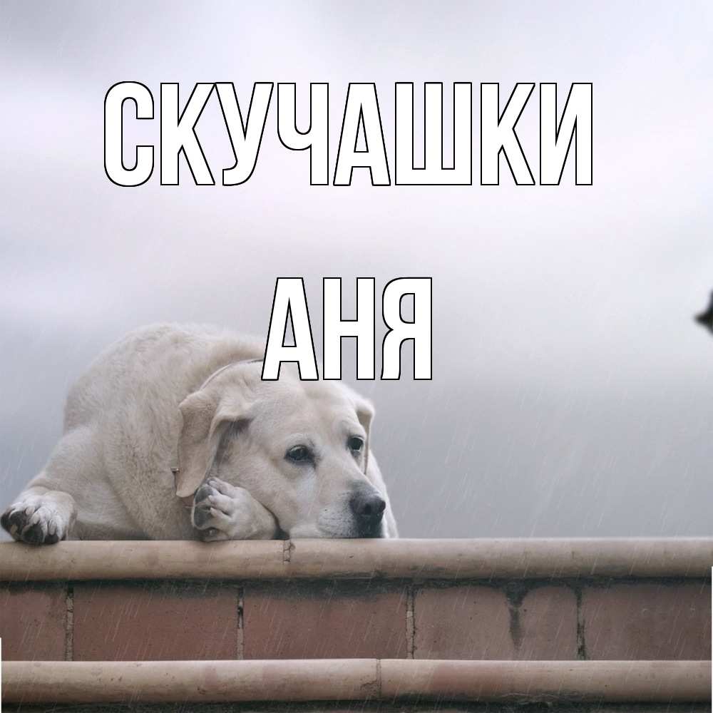Открытка на каждый день с именем, Аня Скучашки ждет Прикольная открытка с пожеланием онлайн скачать бесплатно 