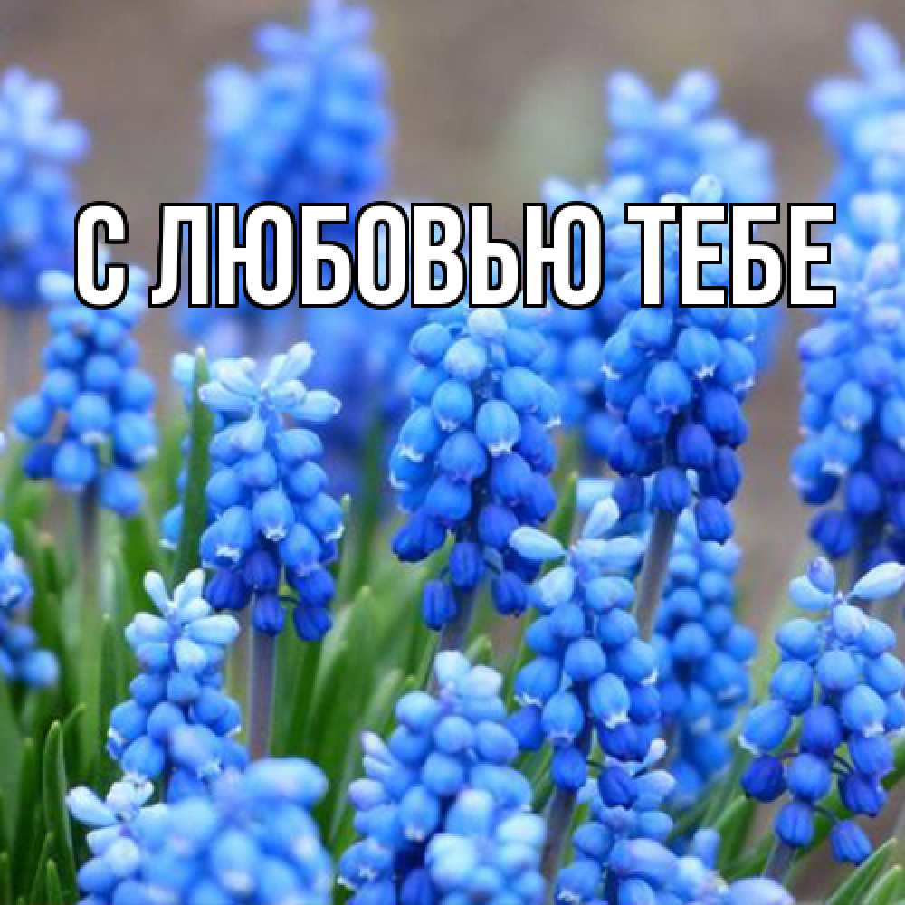 Открытка на каждый день с именем, Жан Люблю тебя Поздравительная открытка для женщин с цветами на праздничную дату Прикольная открытка с пожеланием онлайн скачать бесплатно 