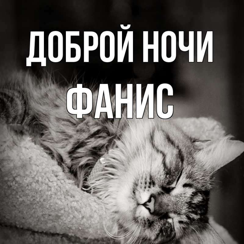 Картинка Доброй ночи, Фанис