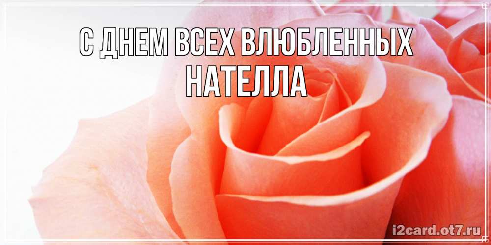 Открытка на каждый день с именем, Нателла С днем всех влюбленных открытка на день Святого Валентина с розовой розой Прикольная открытка с пожеланием онлайн скачать бесплатно 