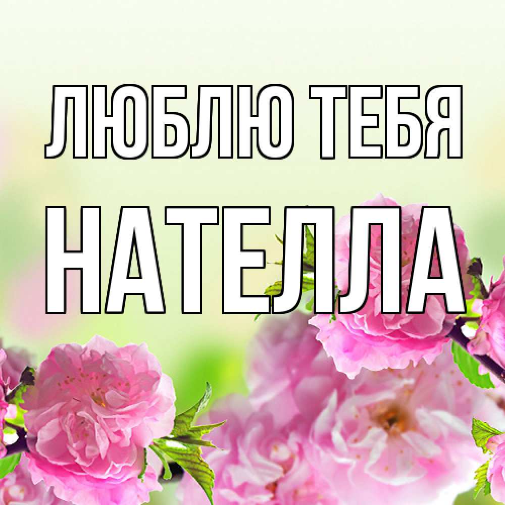 Открытка на каждый день с именем, Нателла Люблю тебя цветы Прикольная открытка с пожеланием онлайн скачать бесплатно 