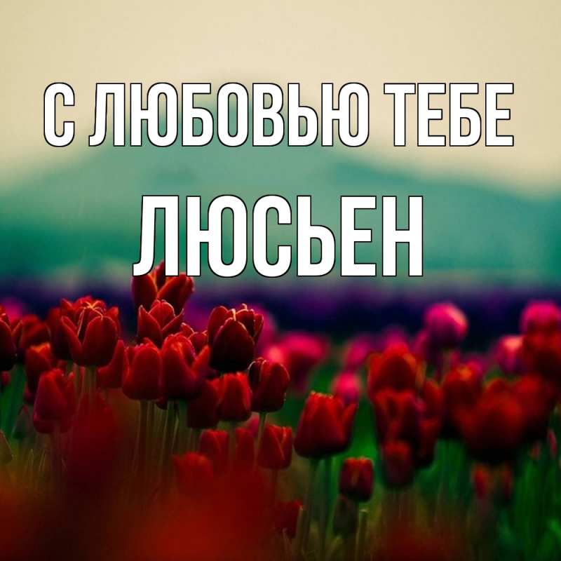 Картинка С любовью тебе, Люсьен