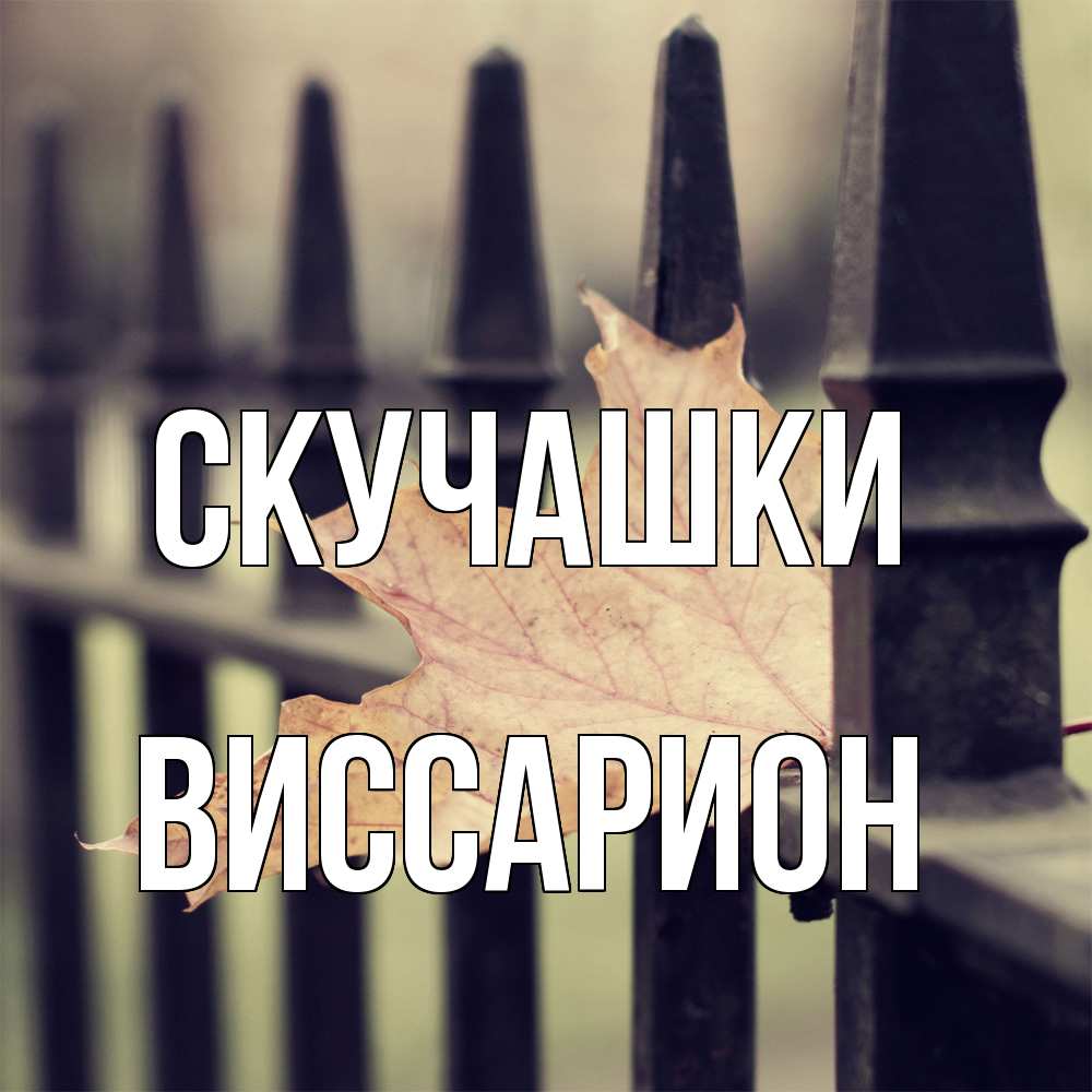 Открытка на каждый день с именем, Виссарион Скучашки очень скучно Прикольная открытка с пожеланием онлайн скачать бесплатно 