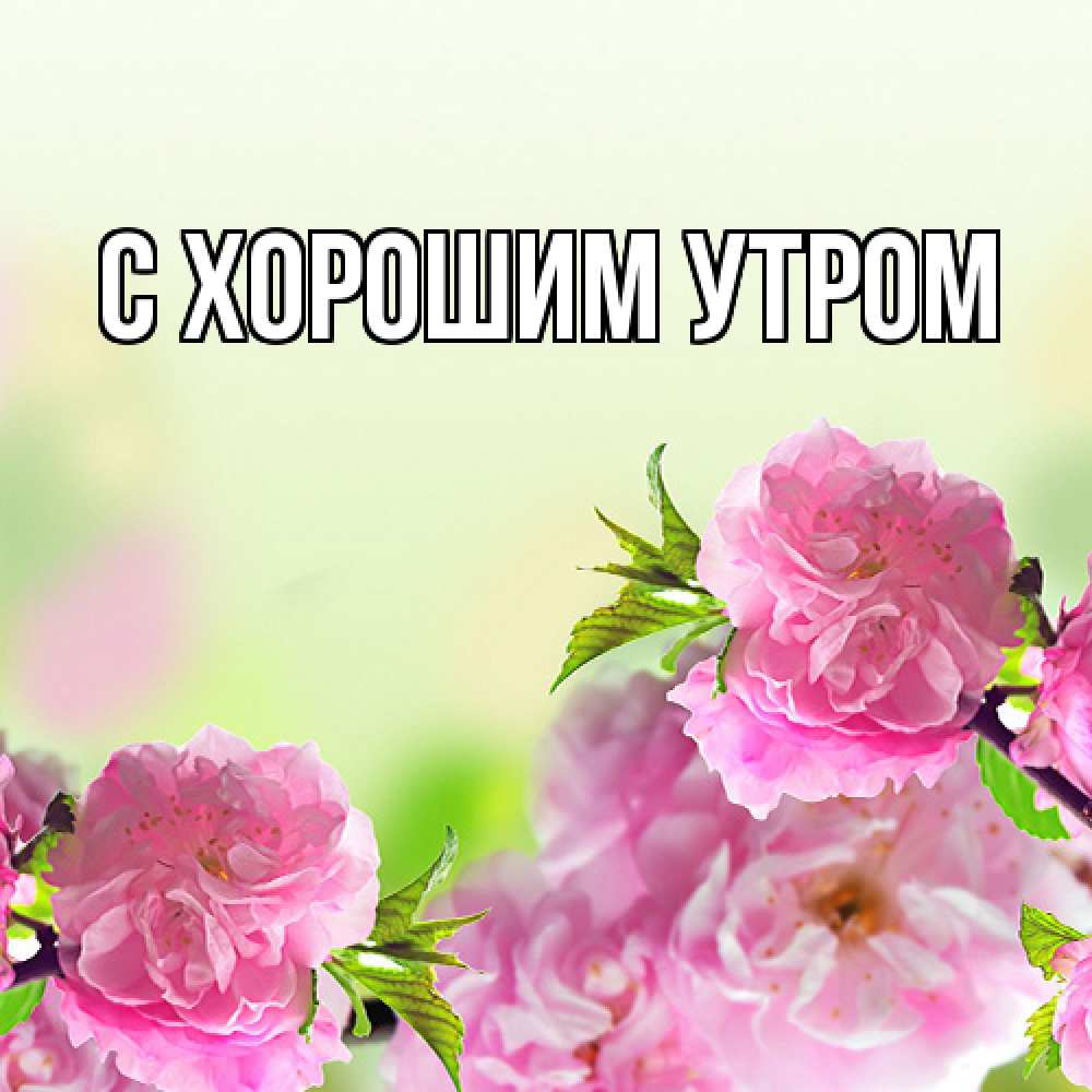 Открытка на каждый день с именем, Иван Люблю тебя цветы Прикольная открытка с пожеланием онлайн скачать бесплатно 