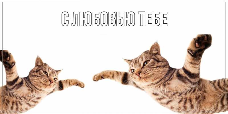 Картинка Как дела, Расим