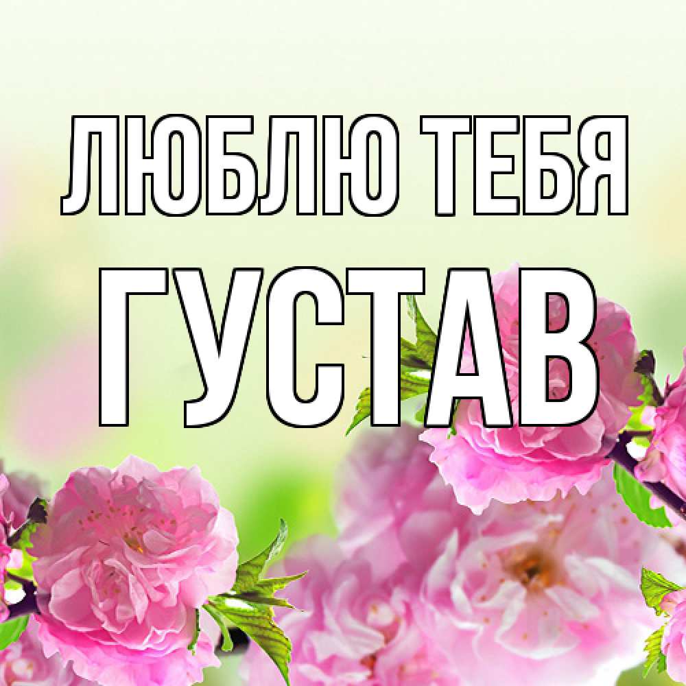 Открытка на каждый день с именем, Густав Люблю тебя цветы Прикольная открытка с пожеланием онлайн скачать бесплатно 
