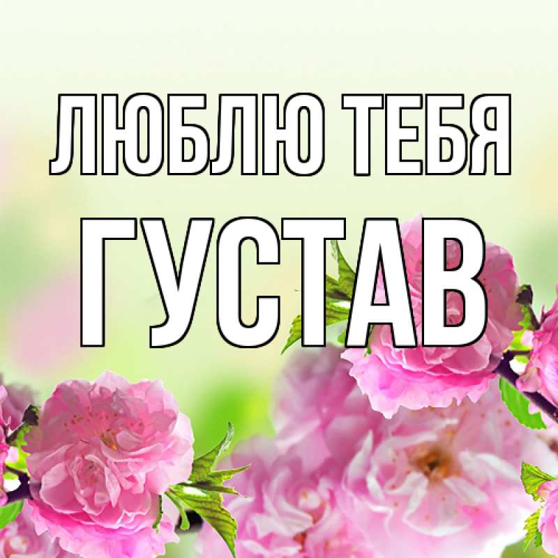 Картинка Люблю тебя, Густав