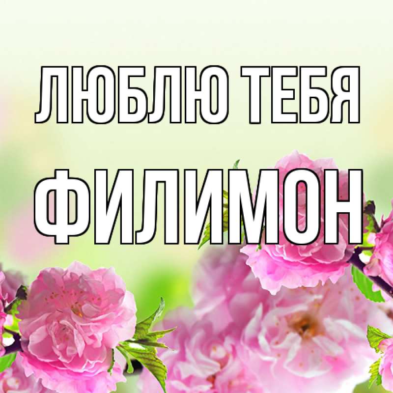 Картинка Люблю тебя, Филимон