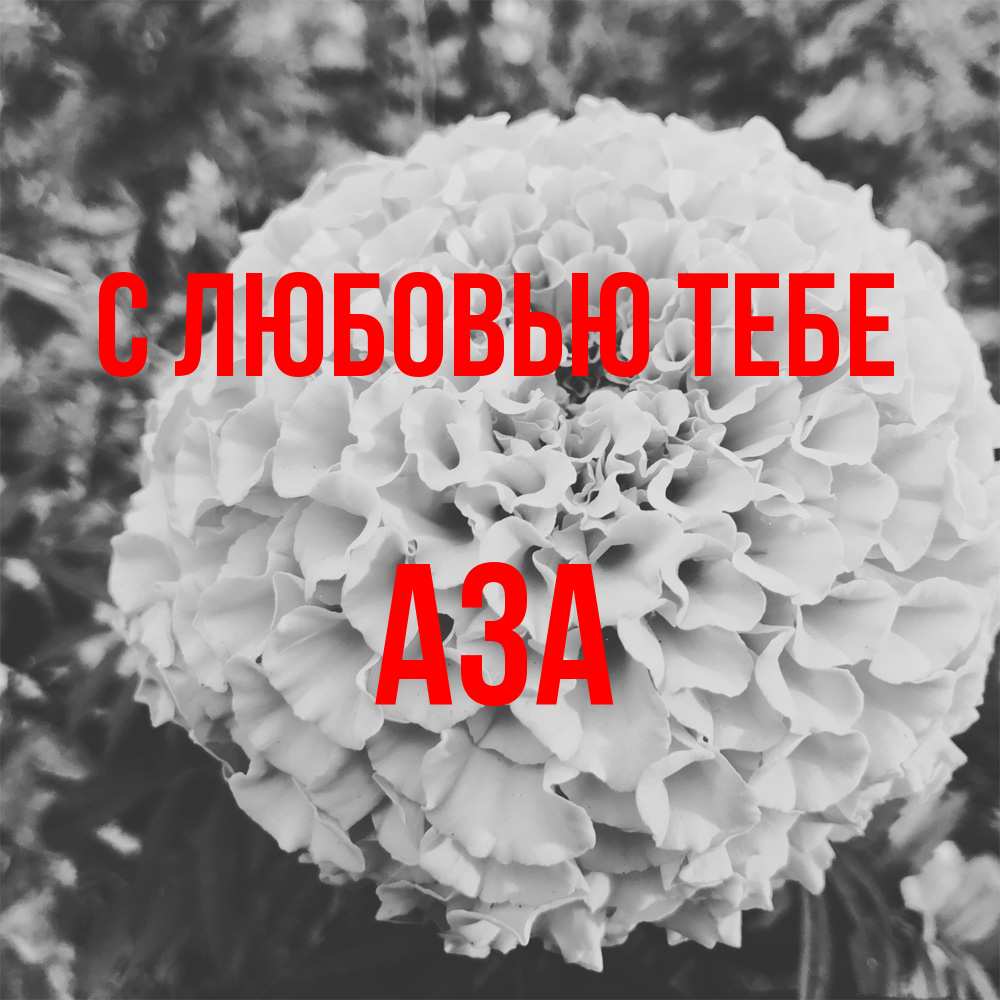 Открытка на каждый день с именем, Аза С любовью тебе подпись Прикольная открытка с пожеланием онлайн скачать бесплатно 