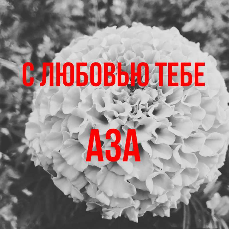 Картинка С любовью тебе, Аза