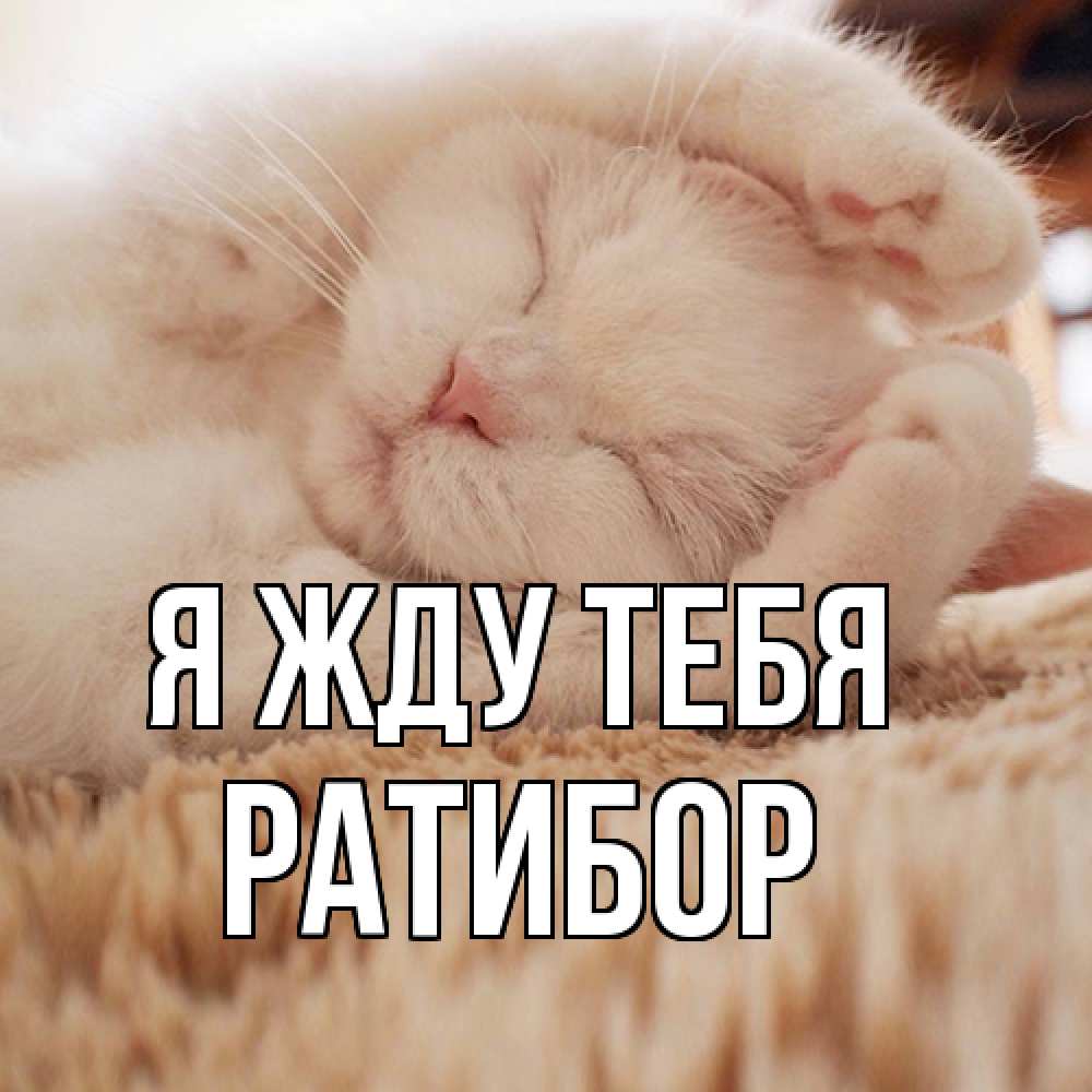 Открытка на каждый день с именем, Ратибор Я жду тебя для любимой девушки милота Прикольная открытка с пожеланием онлайн скачать бесплатно 