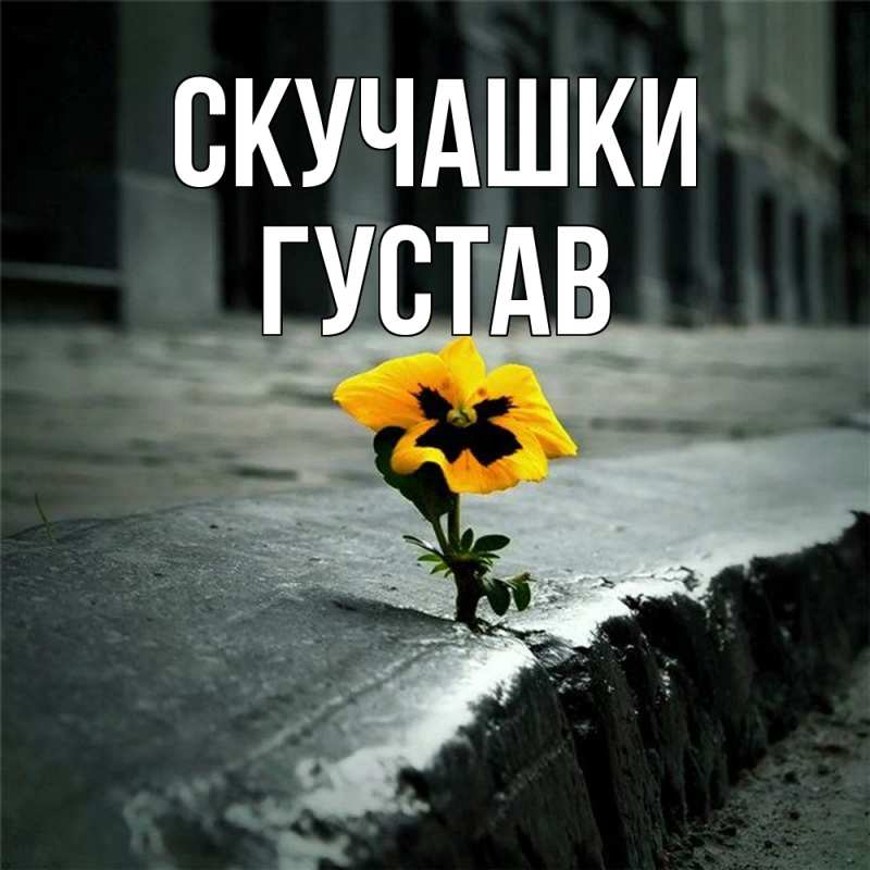 Картинка Скучашки, Густав