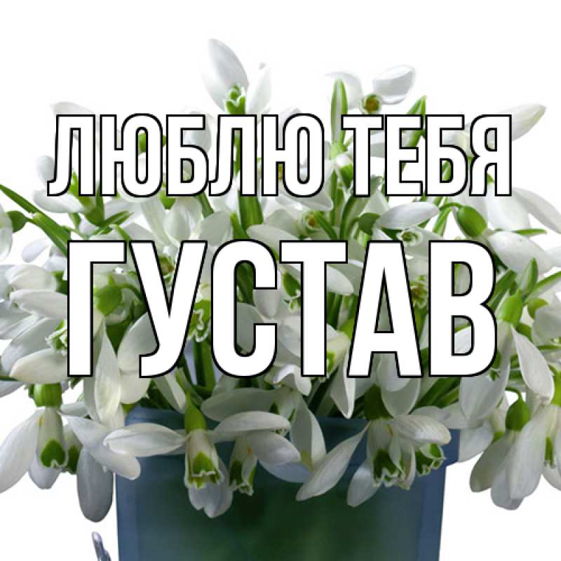 Картинка Люблю тебя, Густав