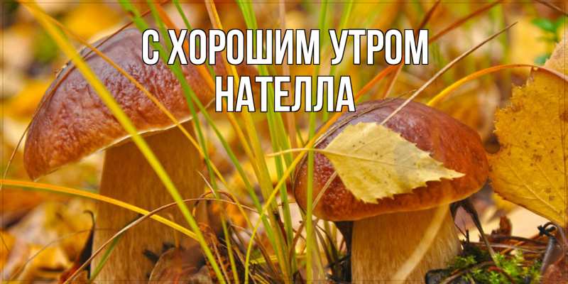 Картинка С хорошим утром, Нателла
