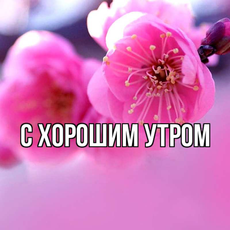 Картинка Люблю тебя, Иван