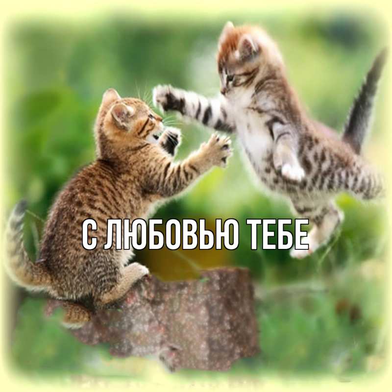 Картинка Обнимашки, Лёня