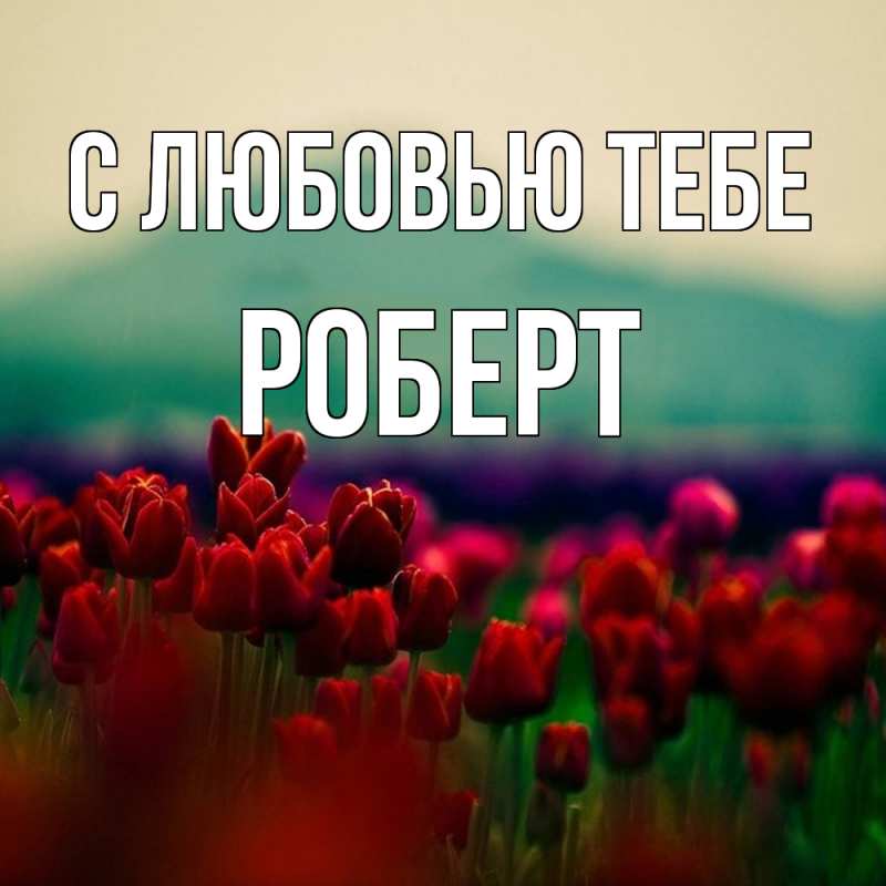 Картинка С любовью тебе, Роберт