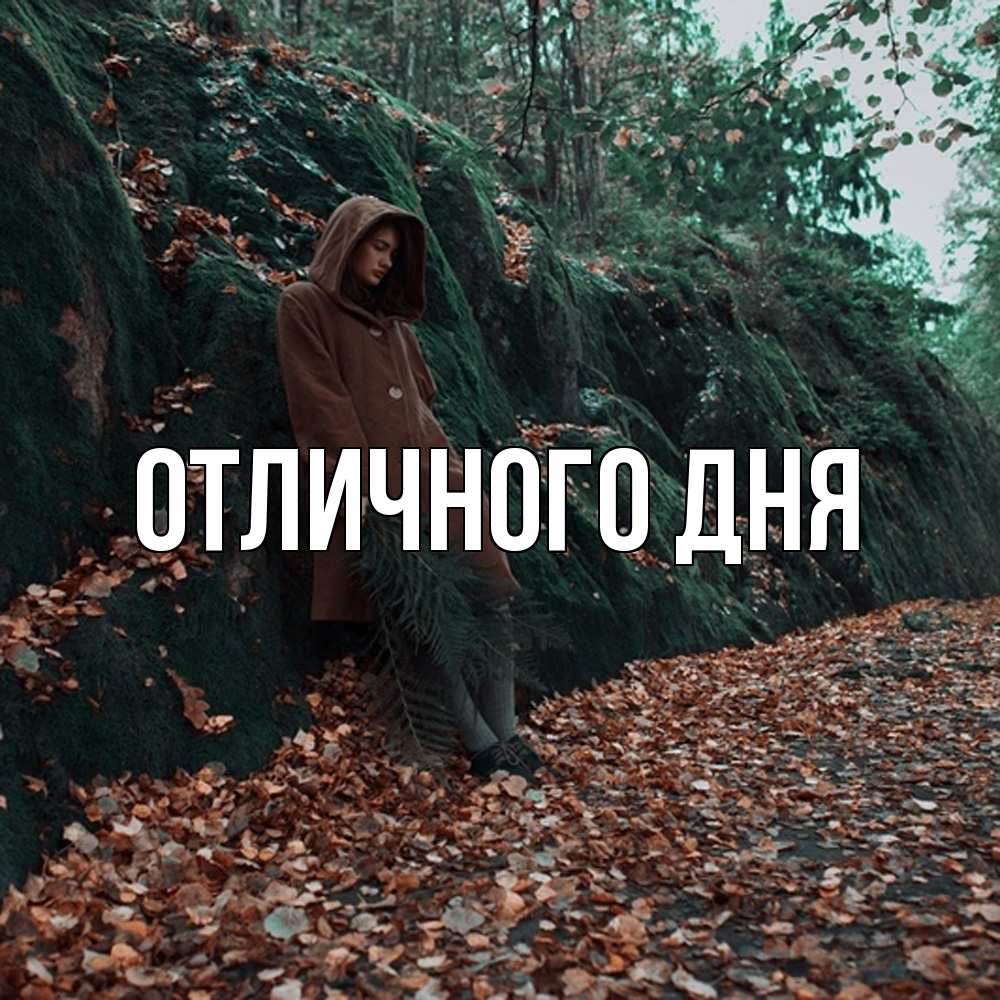 Открытка на каждый день с именем, Леся Скучашки скука 1 Прикольная открытка с пожеланием онлайн скачать бесплатно 