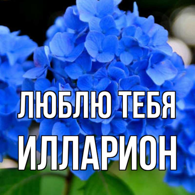 Открытка с именем, Илларион, Люблю тебя