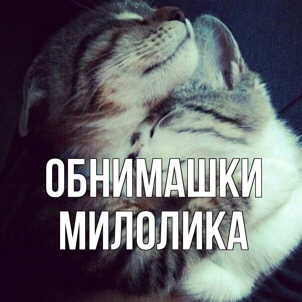 Открытка на каждый день с именем, Милолика Обнимашки полосатики Прикольная открытка с пожеланием онлайн скачать бесплатно 