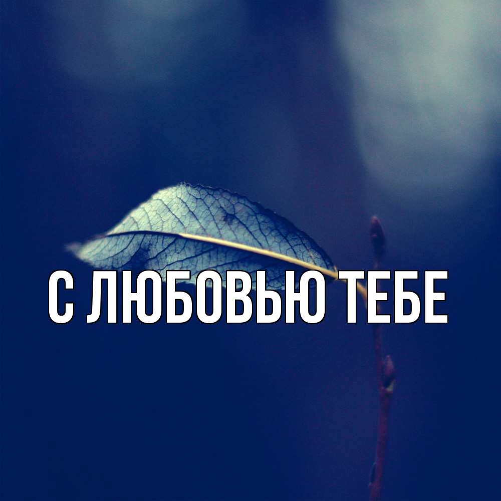 Открытка на каждый день с именем, Милан Скучашки одна ветка 1 Прикольная открытка с пожеланием онлайн скачать бесплатно 