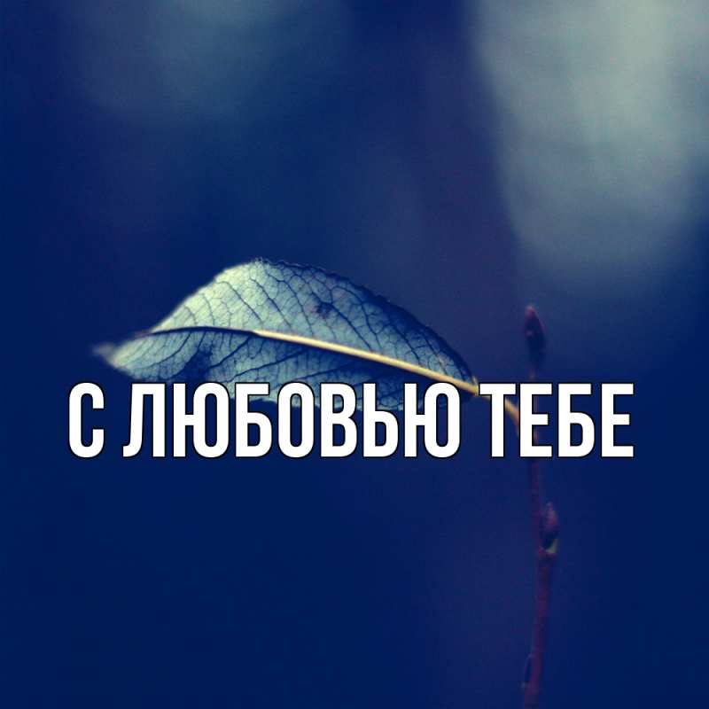 Картинка Скучашки, Милан