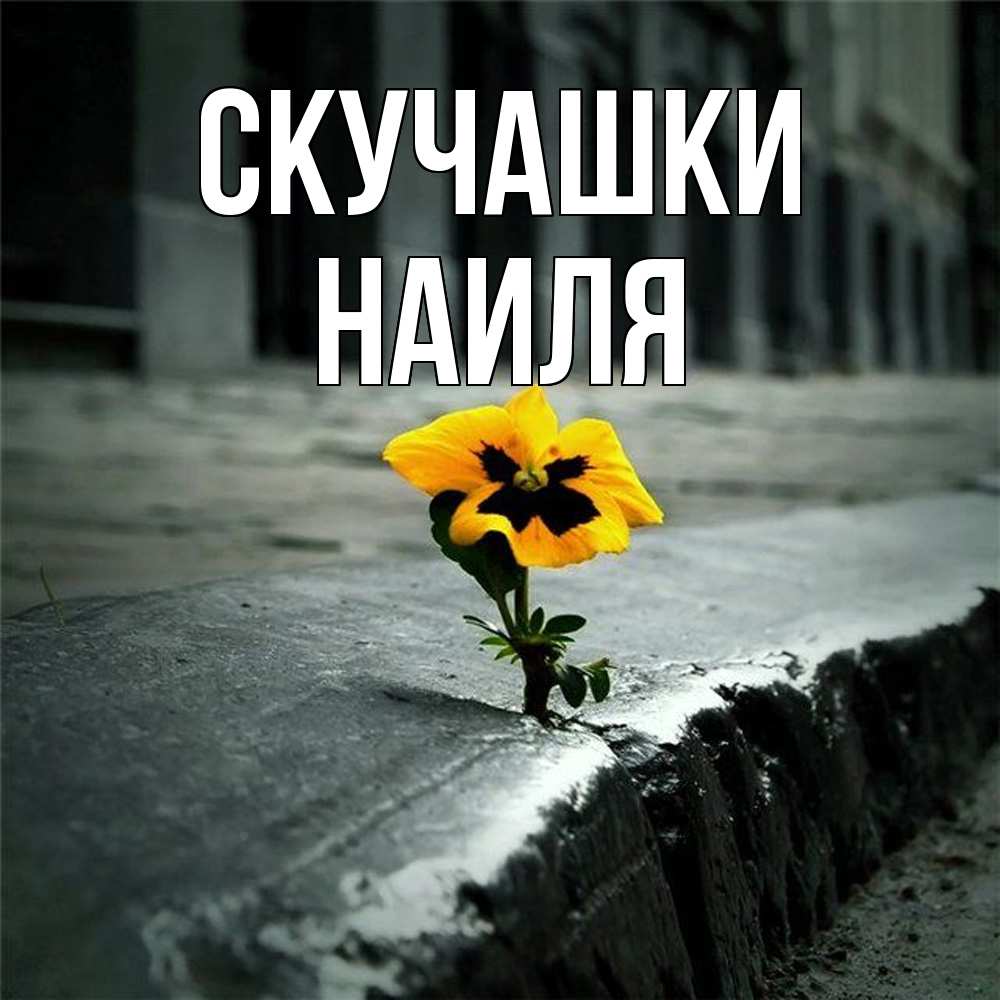 Открытка на каждый день с именем, Наиля Скучашки надеюсь будет лучше Прикольная открытка с пожеланием онлайн скачать бесплатно 
