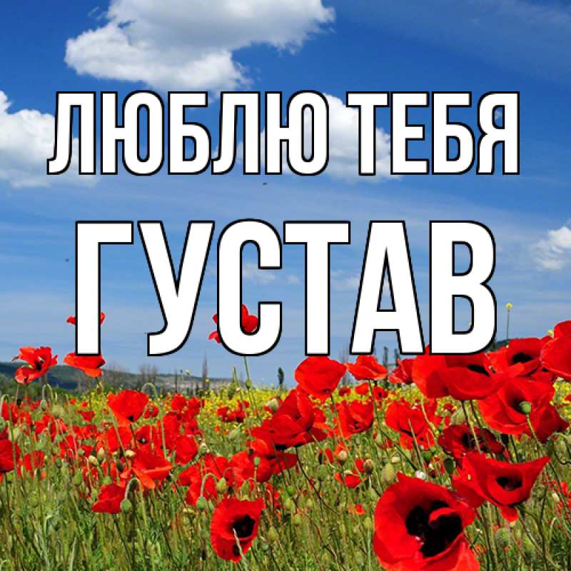 Картинка Люблю тебя, Густав