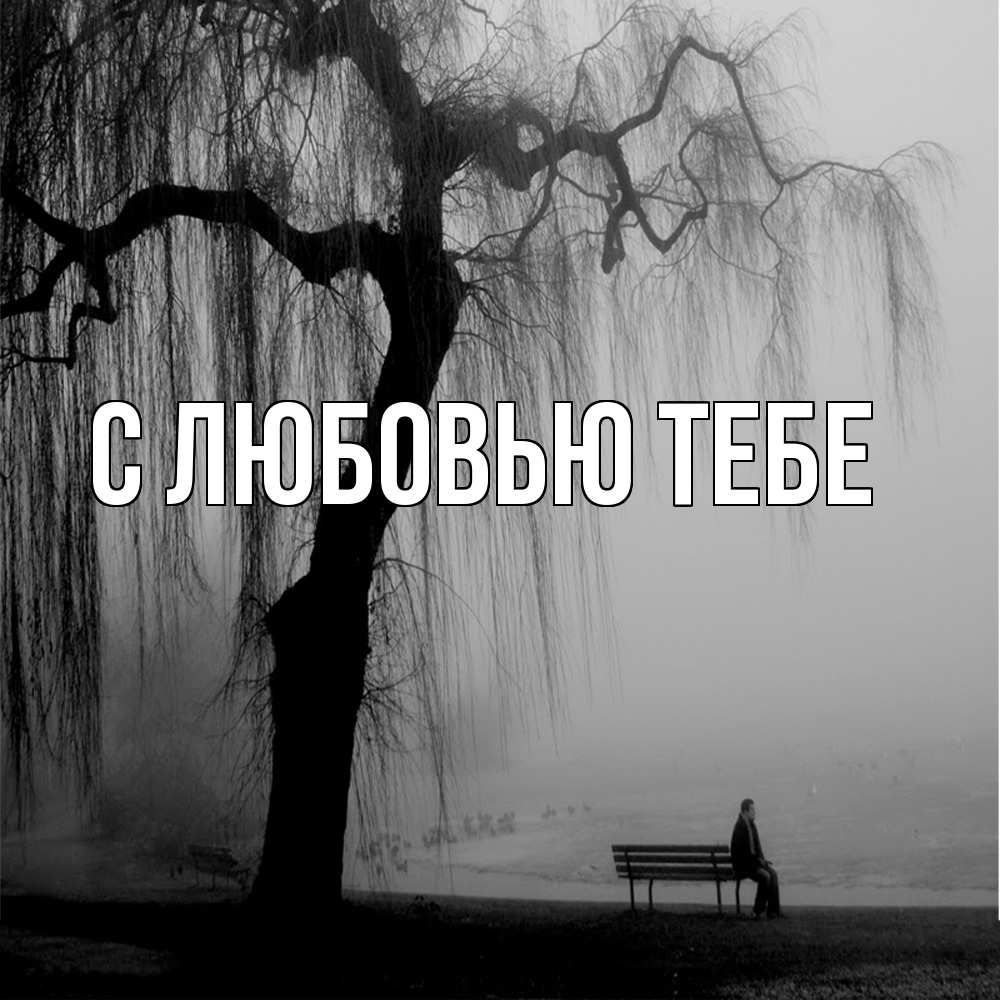 Открытка на каждый день с именем, Савва Скучашки лавочка под деревом я жду тебя Прикольная открытка с пожеланием онлайн скачать бесплатно 