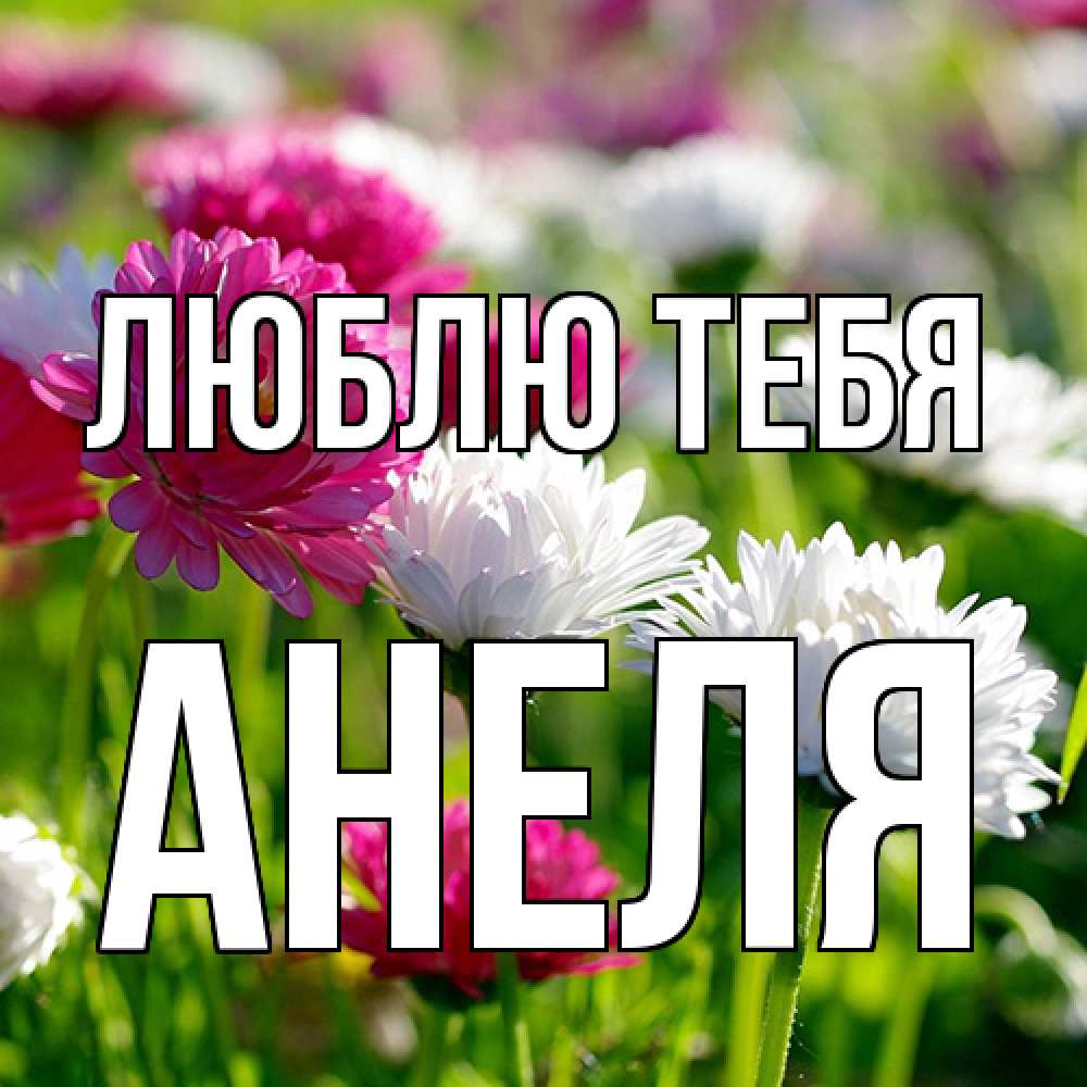 Открытка на каждый день с именем, Анеля Люблю тебя международный женский день 1 Прикольная открытка с пожеланием онлайн скачать бесплатно 