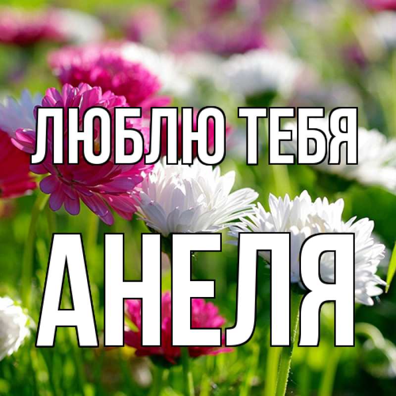 Картинка Люблю тебя, Анеля