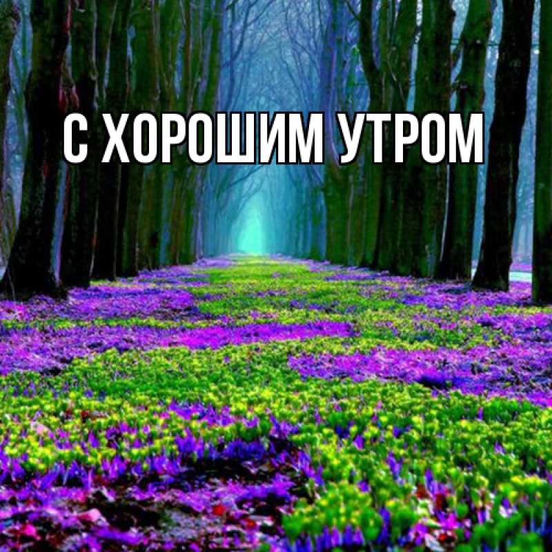 Картинка Люблю тебя, Лида