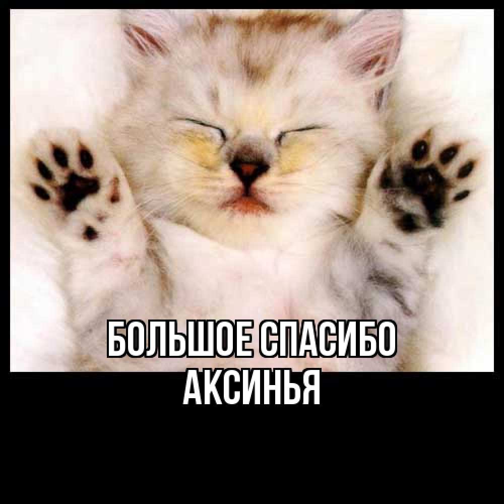 Открытка на каждый день с именем, Аксинья Большое спасибо маленький котенок Прикольная открытка с пожеланием онлайн скачать бесплатно 