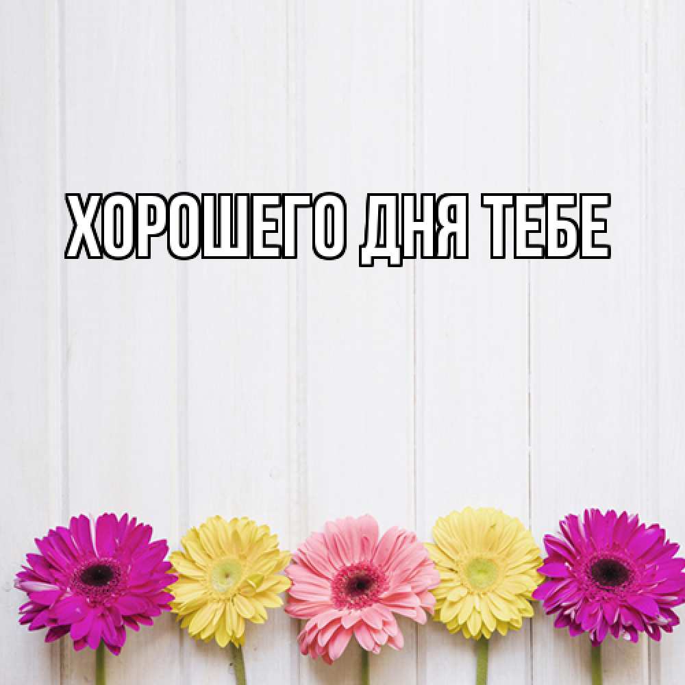 Открытка на каждый день с именем, Гастон Люблю тебя женщинам 1 Прикольная открытка с пожеланием онлайн скачать бесплатно 