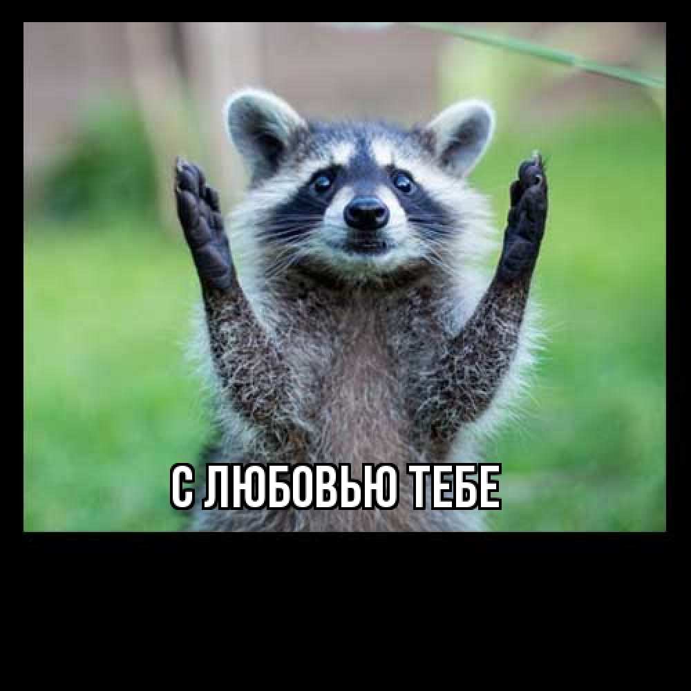 Открытка на каждый день с именем, Милан Как дела животные Прикольная открытка с пожеланием онлайн скачать бесплатно 