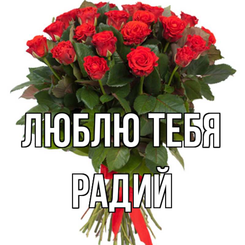 Картинка Люблю тебя, Радий