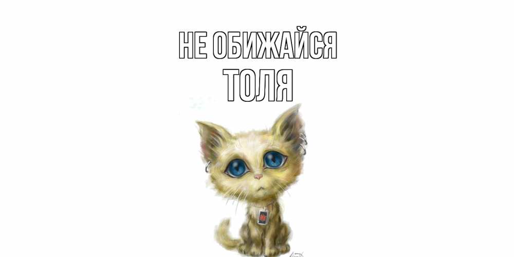 Открытка на каждый день с именем, Толя Не обижайся прости меня открытка с котиком Прикольная открытка с пожеланием онлайн скачать бесплатно 