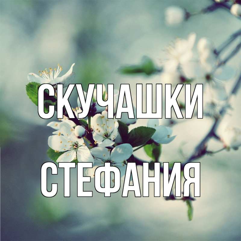Картинка Скучашки, Стефания
