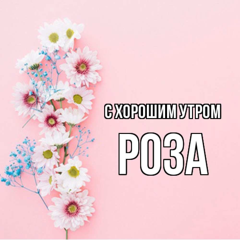 Открытка на каждый день с именем, Роза С хорошим утром цветы с подписью Прикольная открытка с пожеланием онлайн скачать бесплатно 