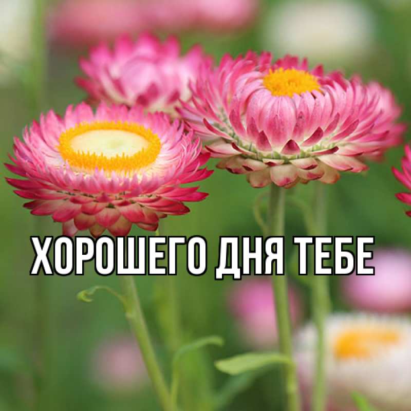 Картинка Люблю тебя, Измаил