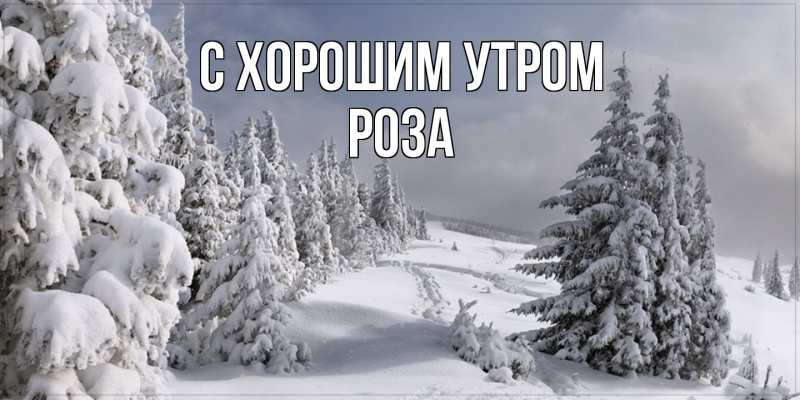 Открытка с именем, Роза, С хорошим утром